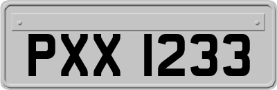 PXX1233