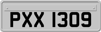 PXX1309