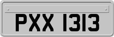 PXX1313