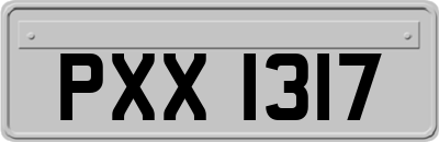 PXX1317