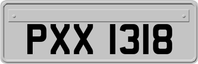 PXX1318