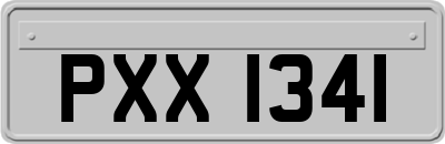 PXX1341