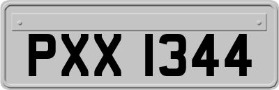 PXX1344