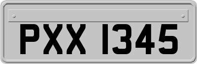 PXX1345