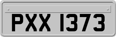 PXX1373