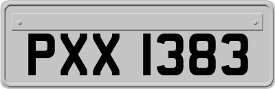 PXX1383