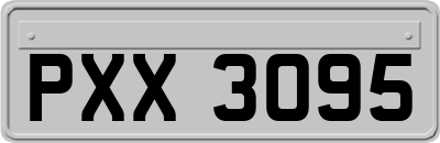 PXX3095