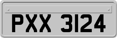 PXX3124