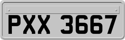 PXX3667