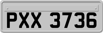 PXX3736