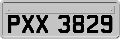 PXX3829