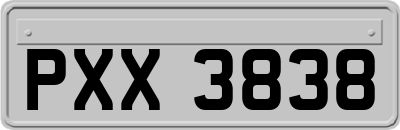 PXX3838
