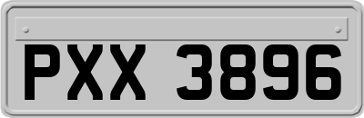 PXX3896