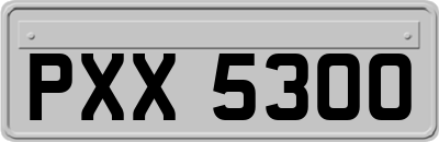 PXX5300