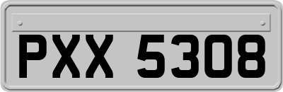 PXX5308