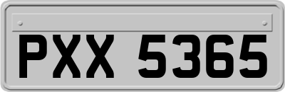 PXX5365