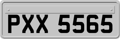 PXX5565