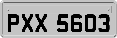 PXX5603