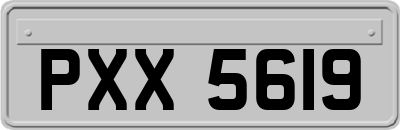 PXX5619