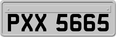 PXX5665