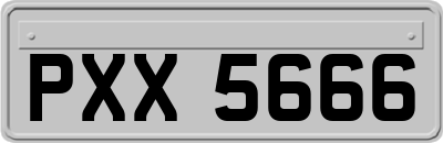 PXX5666