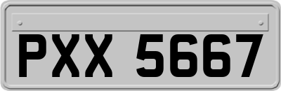 PXX5667