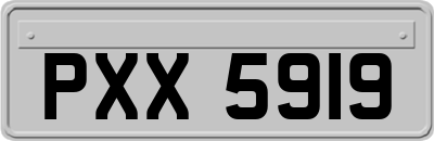 PXX5919