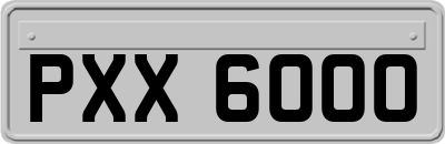 PXX6000