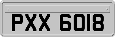PXX6018