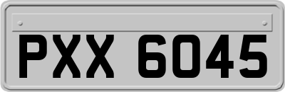 PXX6045