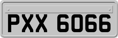 PXX6066