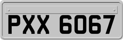 PXX6067