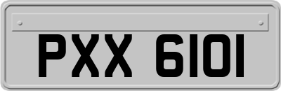 PXX6101