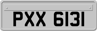 PXX6131