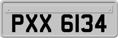 PXX6134