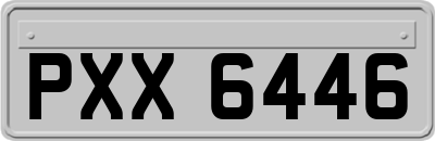 PXX6446