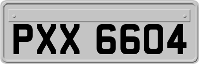 PXX6604