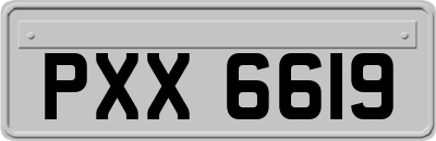PXX6619