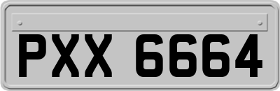 PXX6664