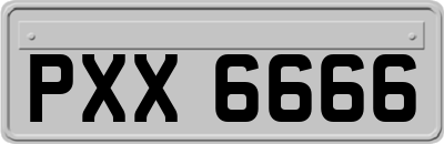 PXX6666