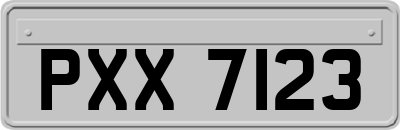 PXX7123