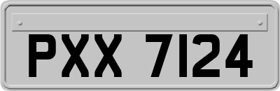 PXX7124