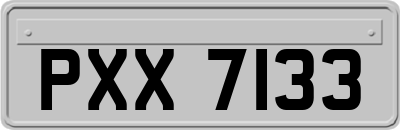 PXX7133