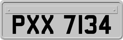 PXX7134