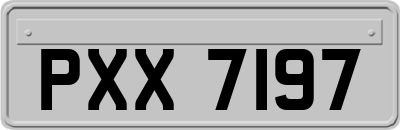 PXX7197