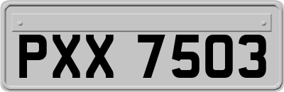 PXX7503