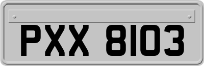 PXX8103