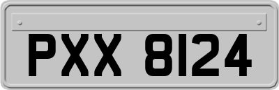 PXX8124