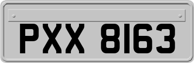 PXX8163