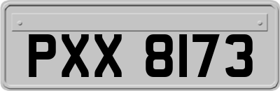 PXX8173